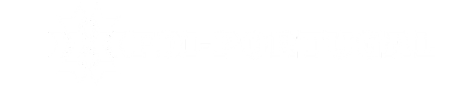 FDI-Portugal